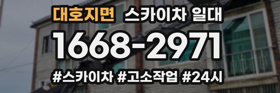 대호지면 스카이차 일대