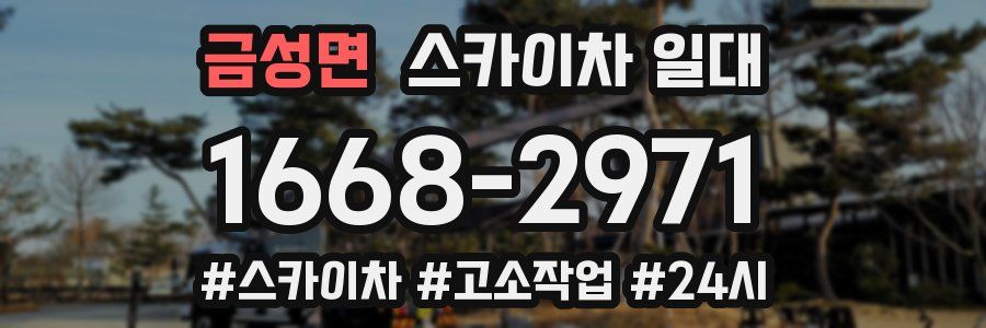 금성면 스카이차 일대