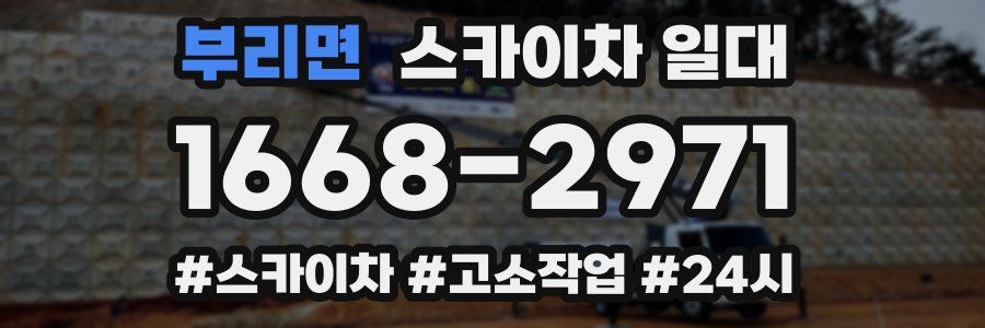 부리면 스카이차 일대