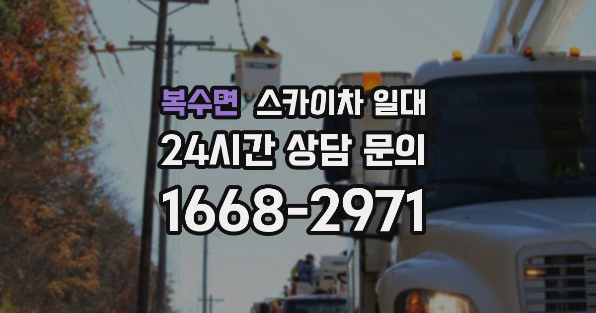 복수면 스카이차 일대
