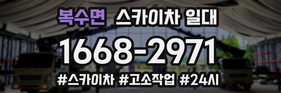 복수면 스카이차 일대