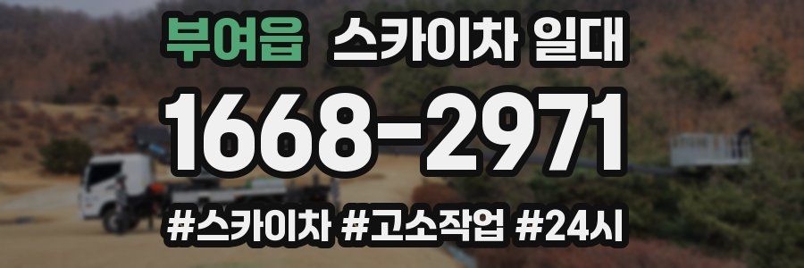 부여읍 스카이차 일대