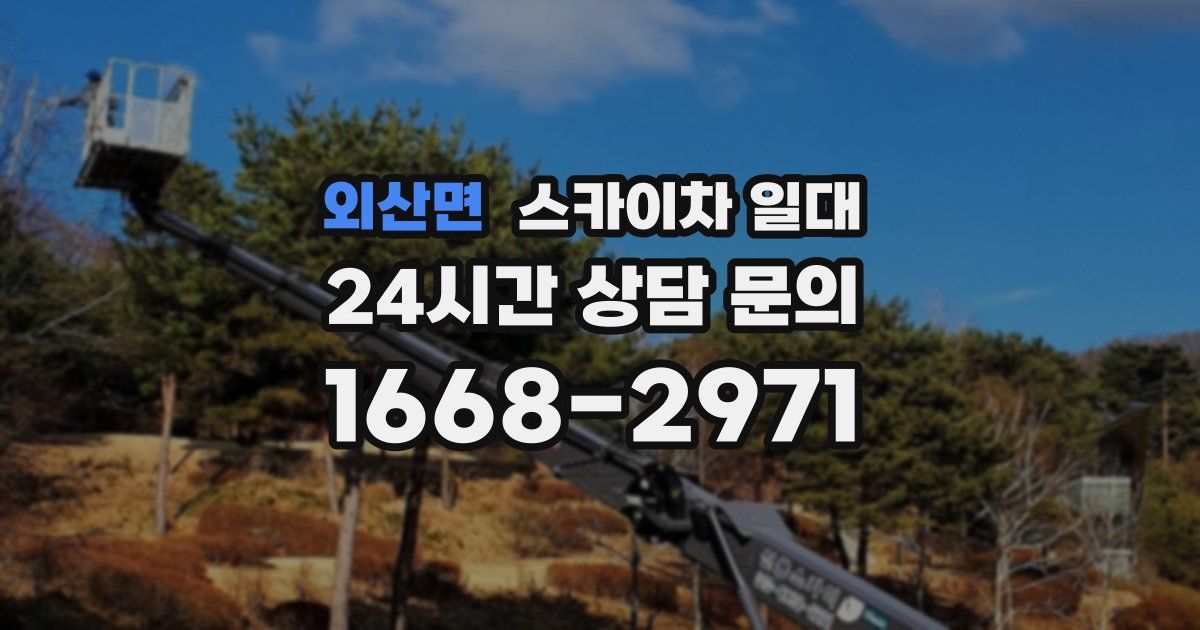 외산면 스카이차 일대