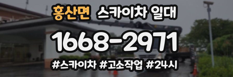 홍산면 스카이차 일대