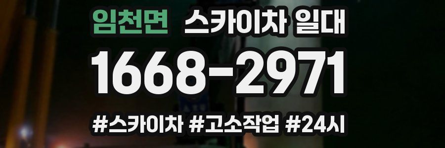 임천면 스카이차 일대
