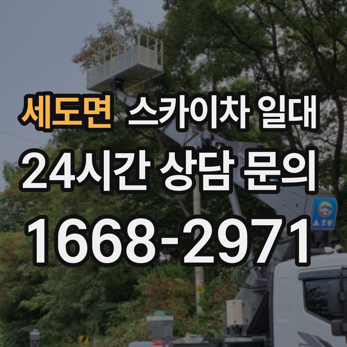세도면 스카이차 일대