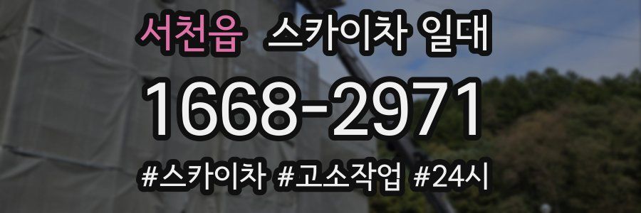 서천읍 스카이차 일대