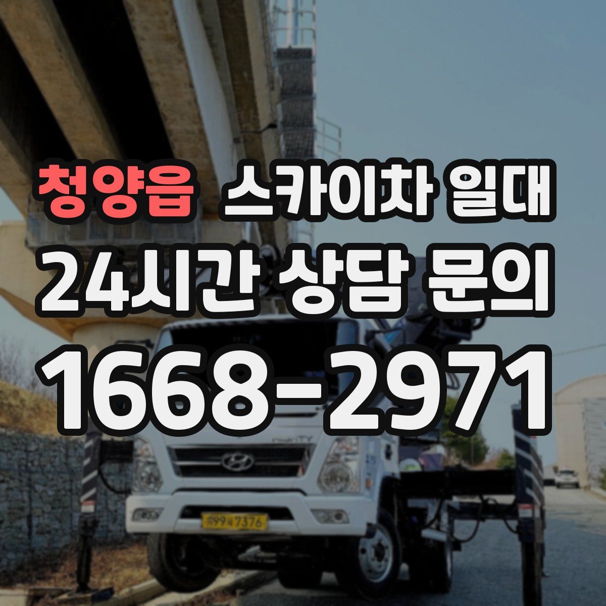 청양읍 스카이차 일대