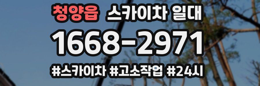 청양읍 스카이차 일대
