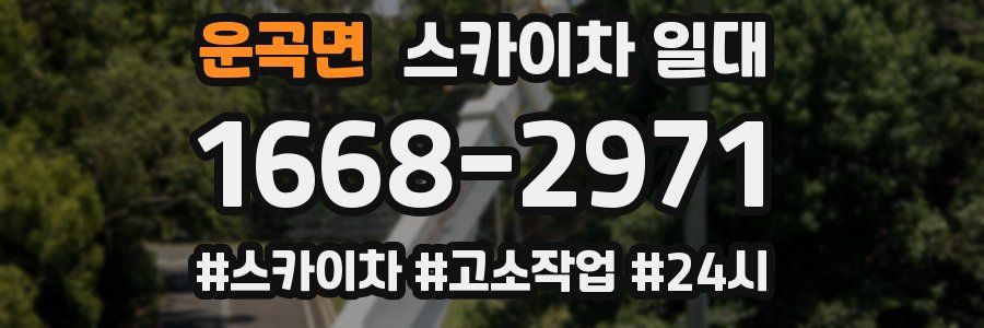 운곡면 스카이차 일대
