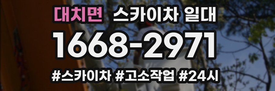 대치면 스카이차 일대