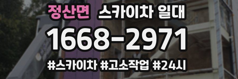 정산면 스카이차 일대