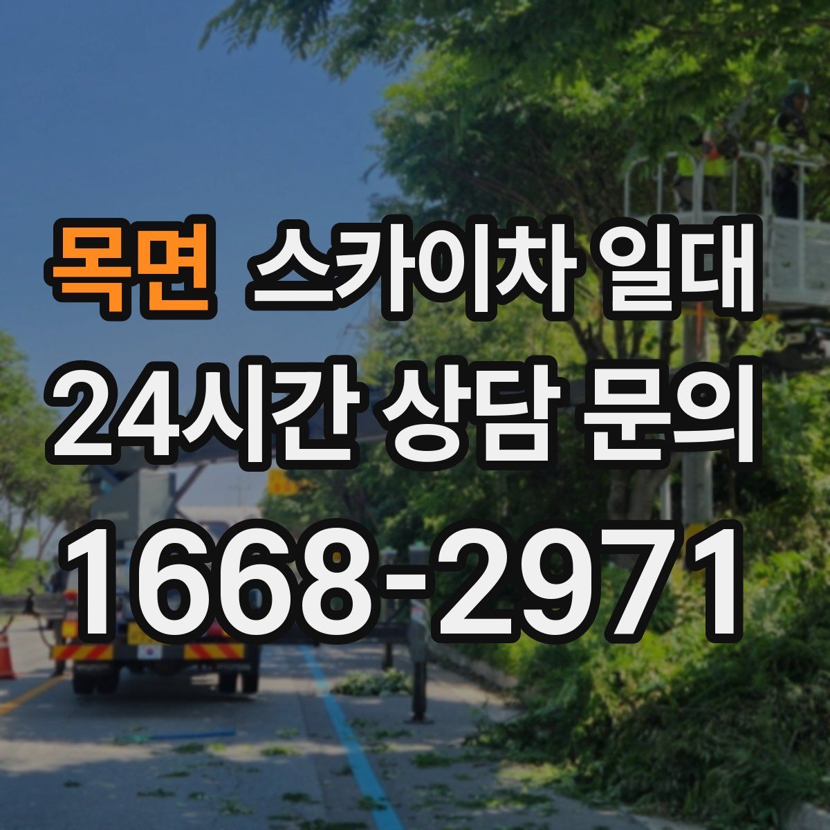 목면 스카이차 일대