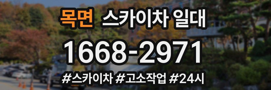 목면 스카이차 일대