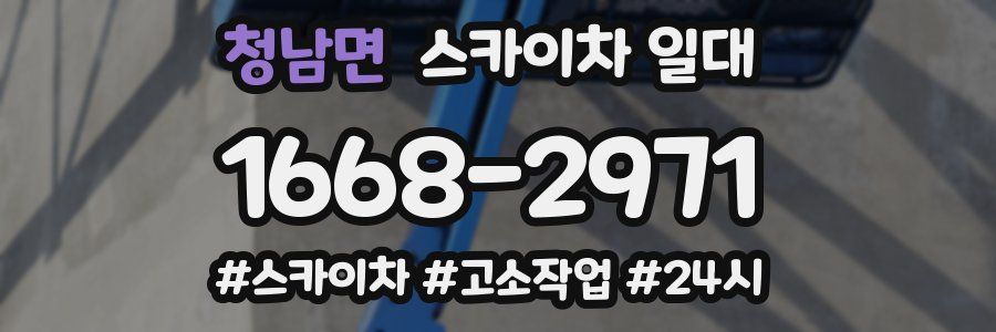 청남면 스카이차 일대