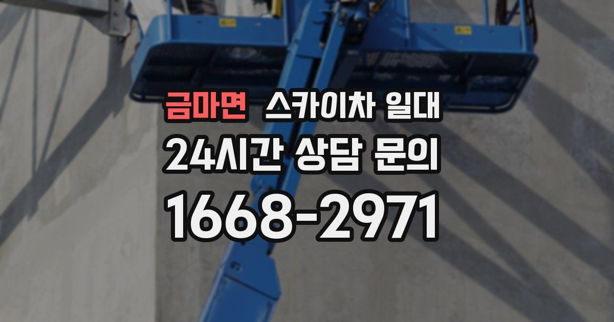 금마면 스카이차 일대