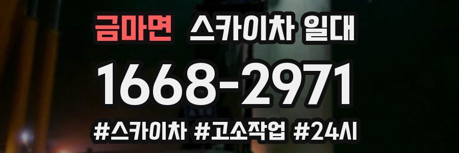 금마면 스카이차 일대