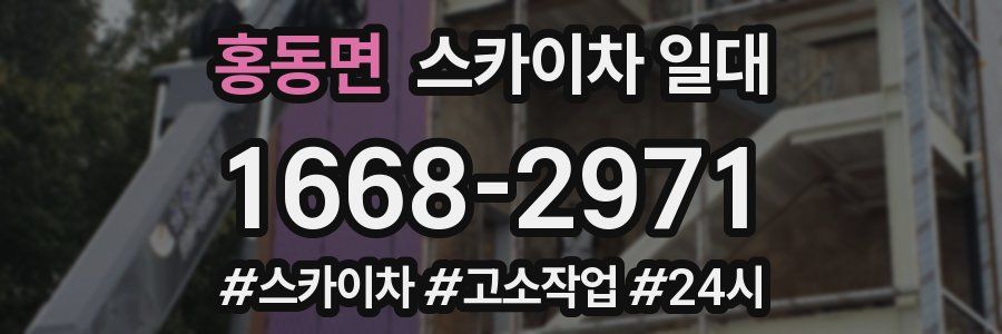 홍동면 스카이차 일대