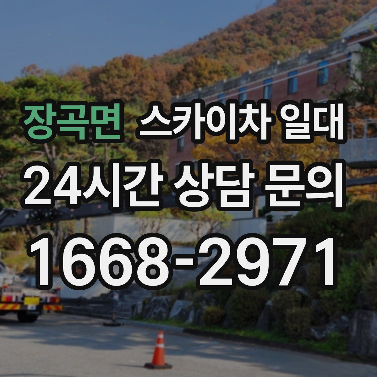장곡면 스카이차 일대