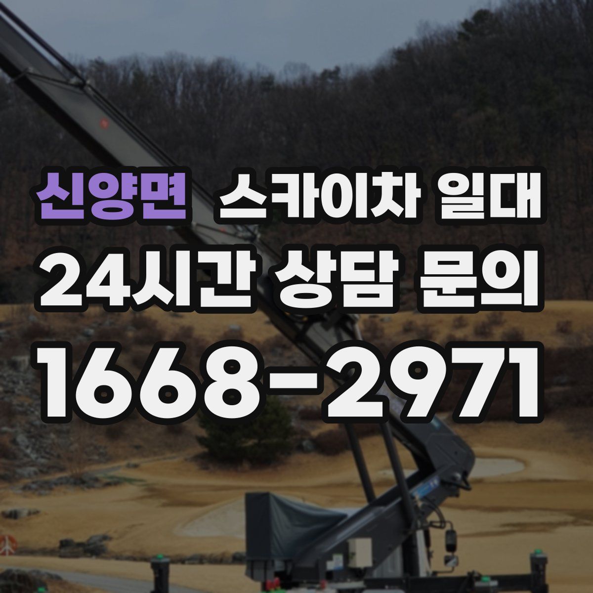 신양면 스카이차 일대