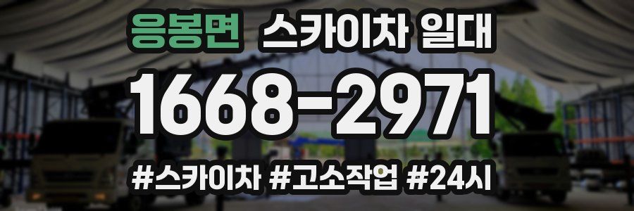 응봉면 스카이차 일대
