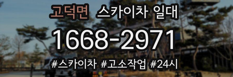 고덕면 스카이차 일대