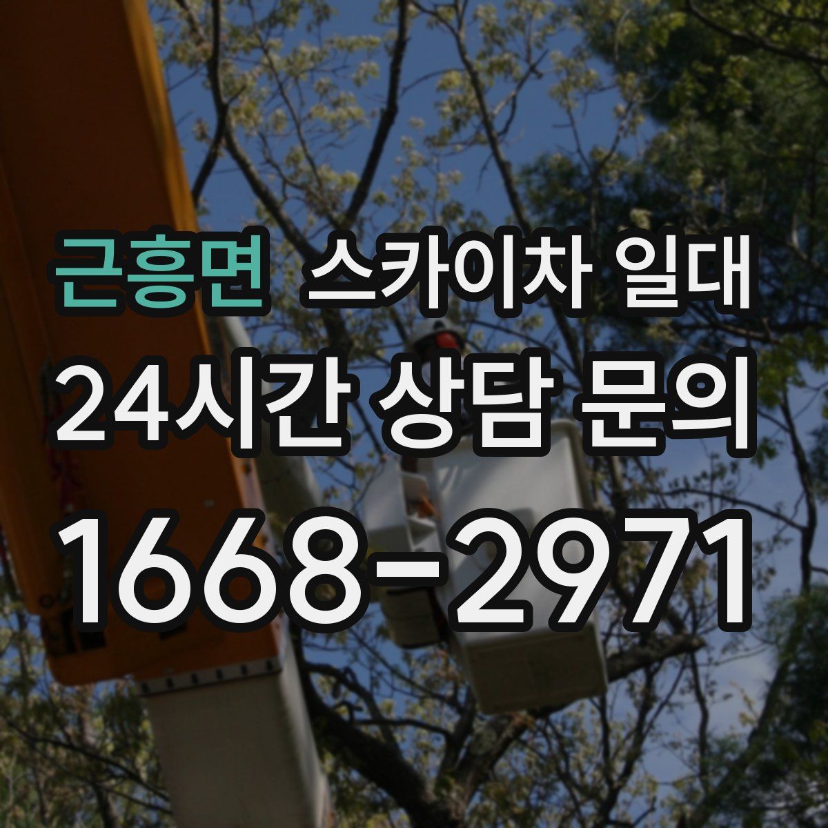 근흥면 스카이차 일대