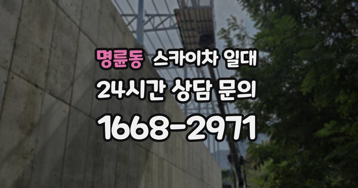 명륜동 스카이차 일대