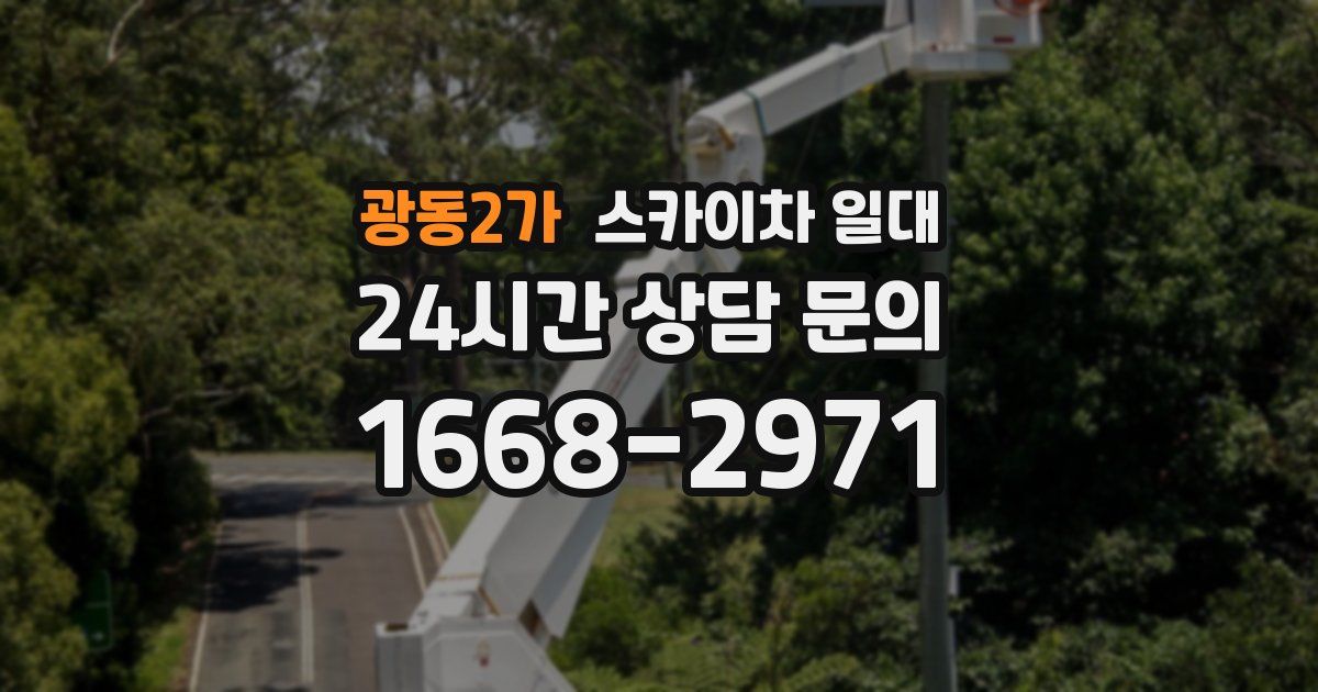 광동2가 스카이차 일대