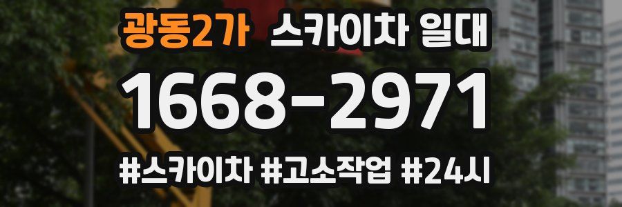 광동2가 스카이차 일대