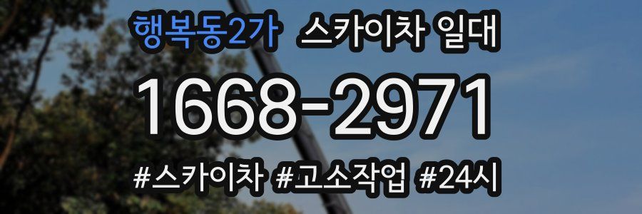 행복동2가 스카이차 일대