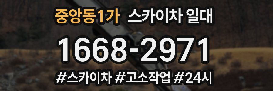 중앙동1가 스카이차 일대