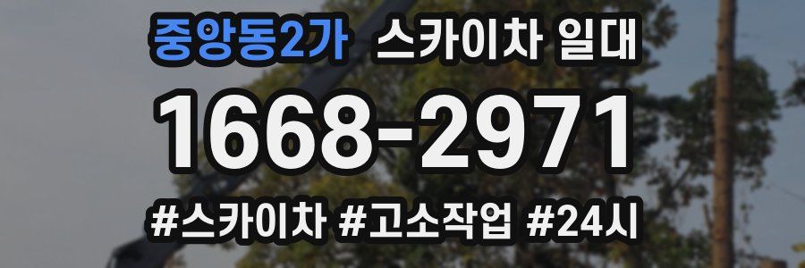 중앙동2가 스카이차 일대