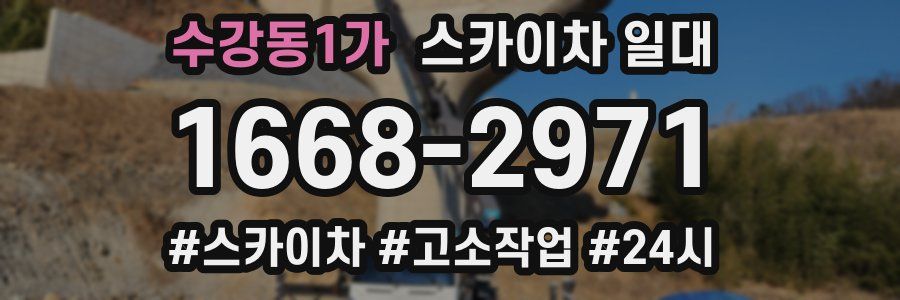 수강동1가 스카이차 일대