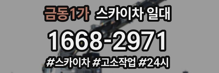 금동1가 스카이차 일대