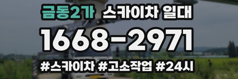 금동2가 스카이차 일대