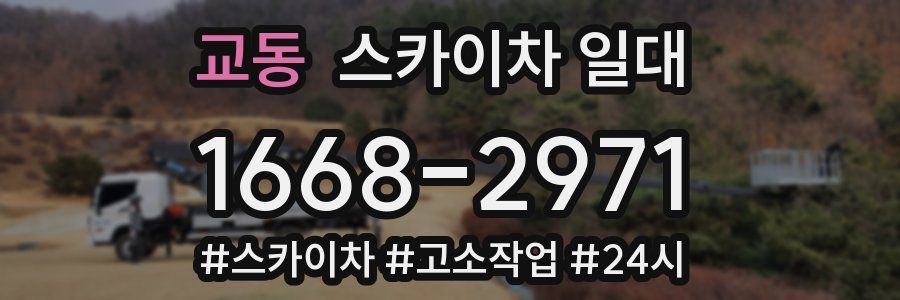 교동 스카이차 일대