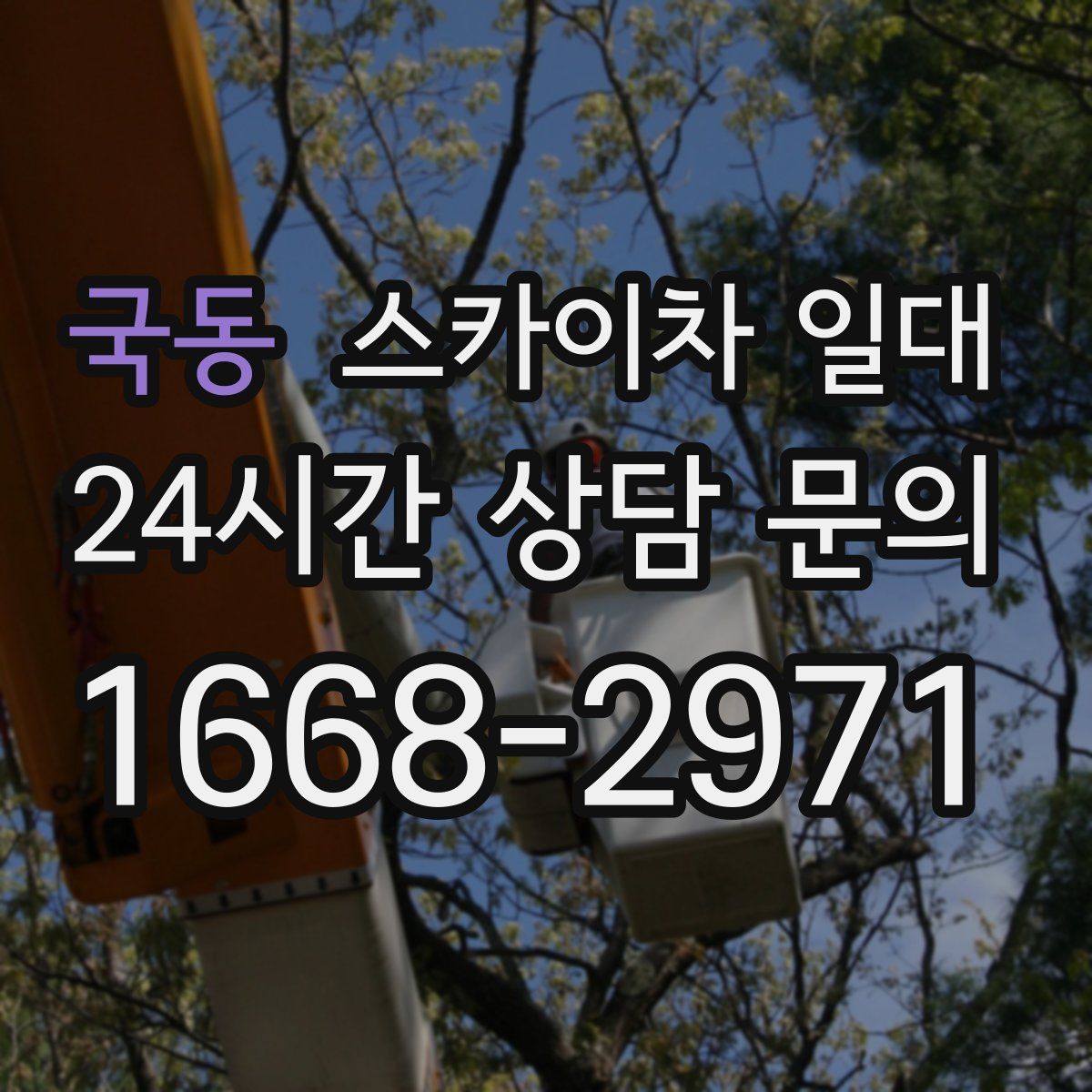 국동 스카이차 일대