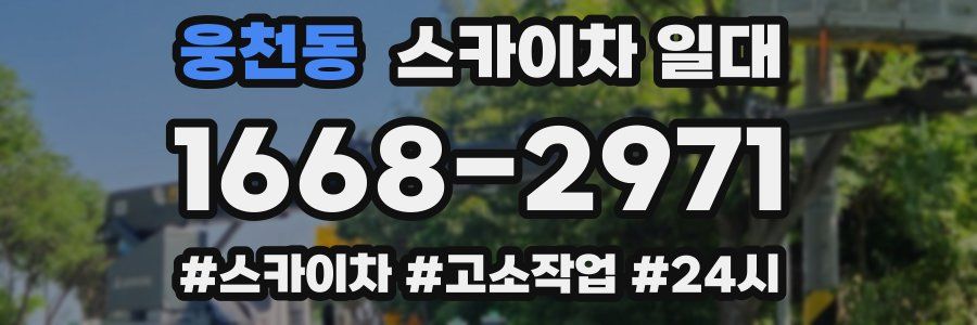 웅천동 스카이차 일대