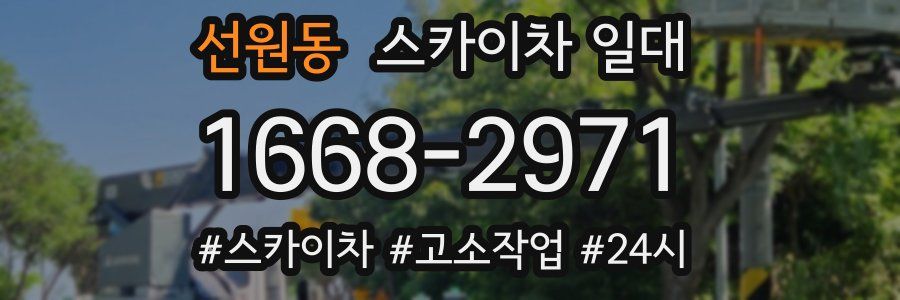 선원동 스카이차 일대