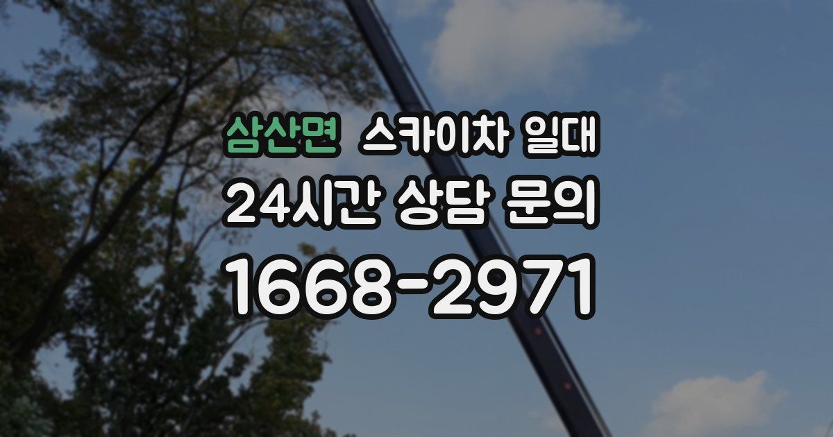 삼산면 스카이차 일대