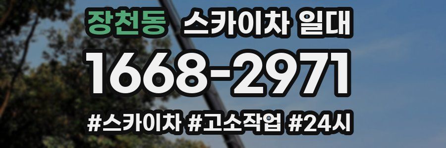 장천동 스카이차 일대
