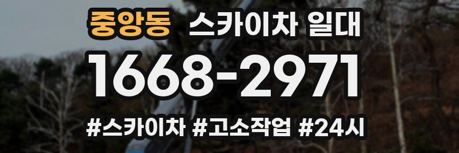 중앙동 스카이차 일대