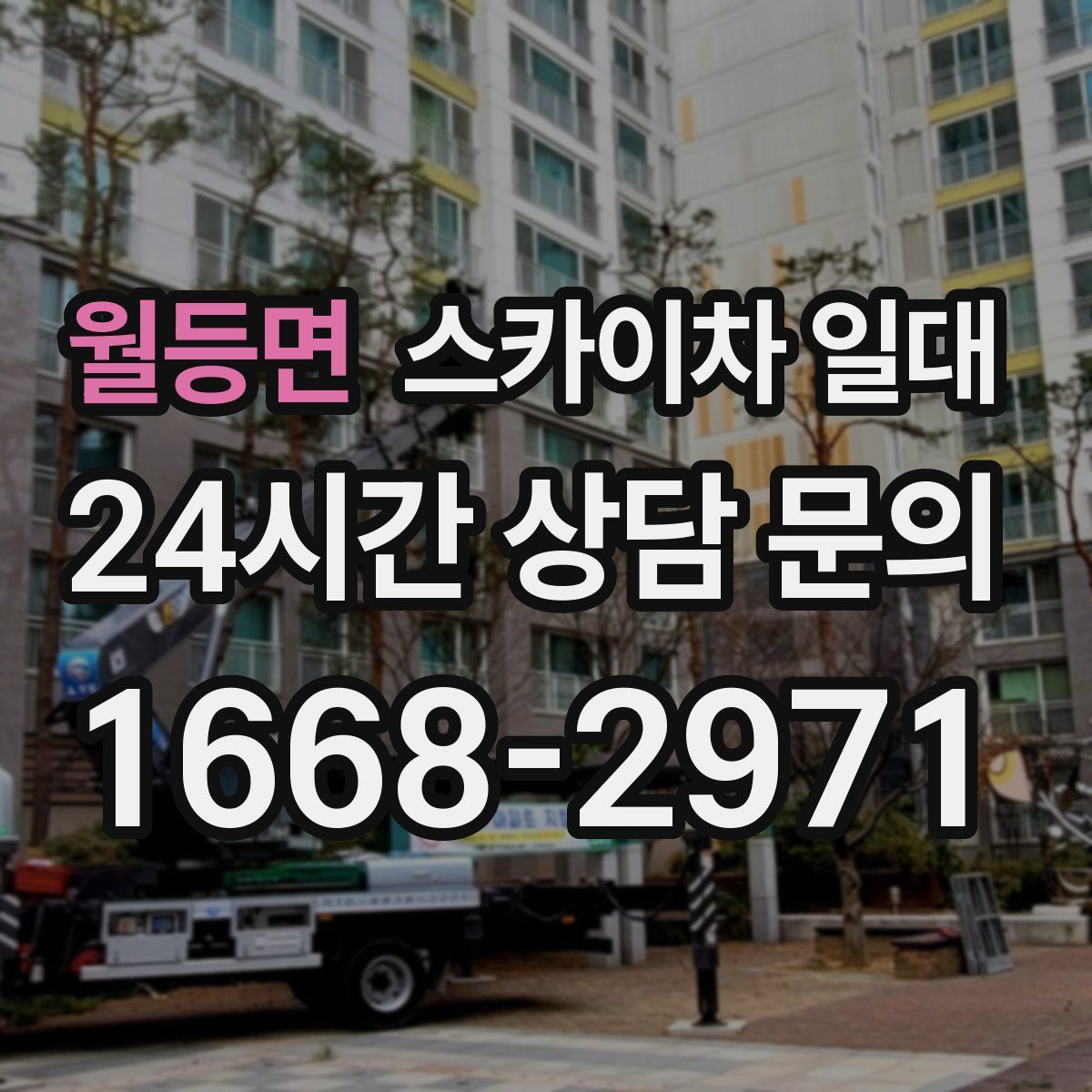 월등면 스카이차 일대