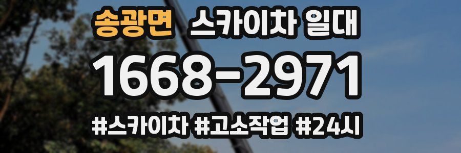 송광면 스카이차 일대