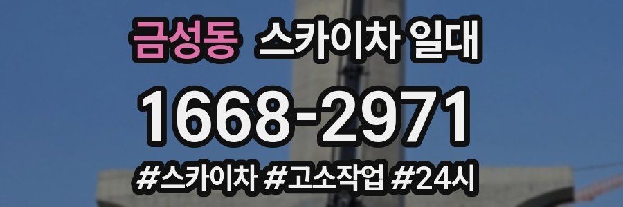금성동 스카이차 일대