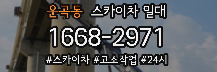 운곡동 스카이차 일대