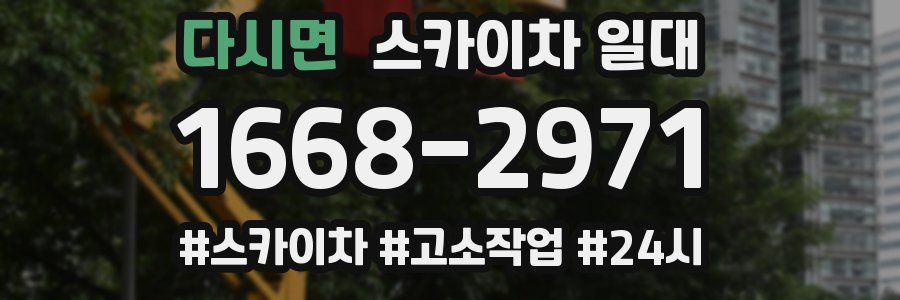 다시면 스카이차 일대