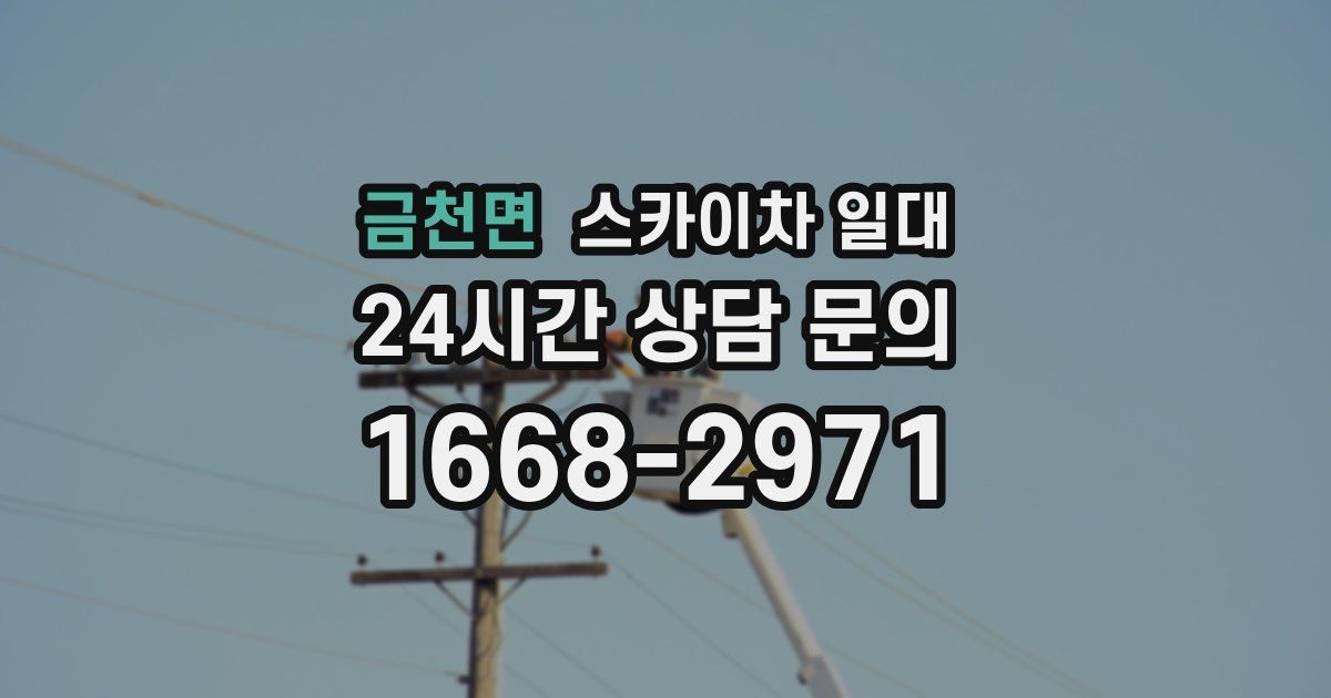 금천면 스카이차 일대
