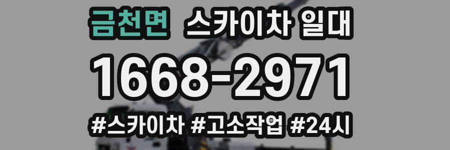 금천면 스카이차 일대